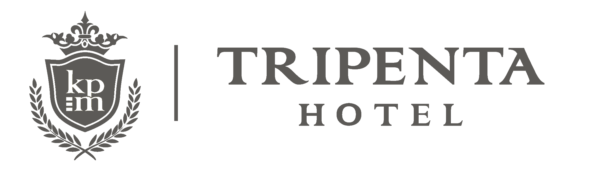Partner Logo 3